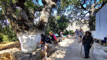 Πεζοπορία, Δρόμοι Ζωής