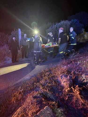 τροχαίο βούτες