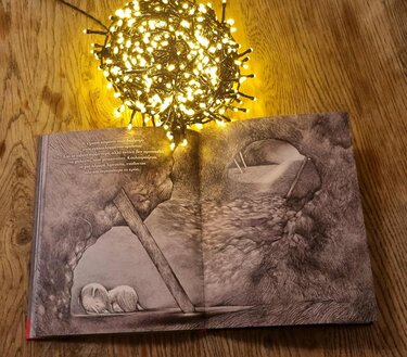 Συναισθήματα, Βιβλίο