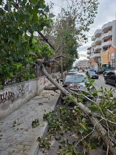 Δέντρο καταπλάκωσε σταθμευμένο αυτοκίνητο