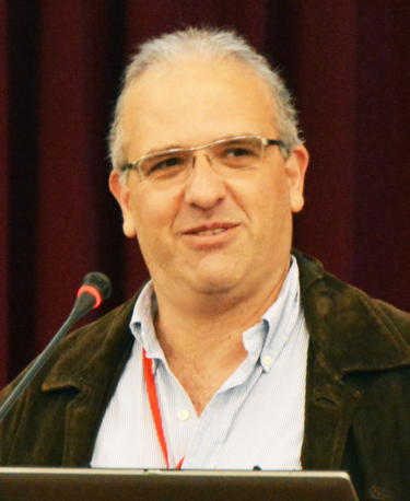Dimitris Stayroy