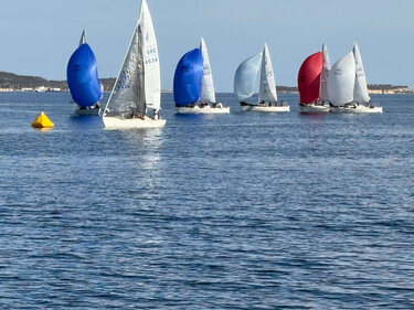 ιστιοπλοΐα j24