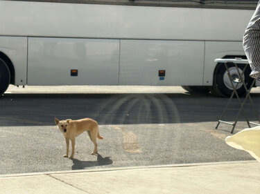 αεροδρόμιο Καστέλι