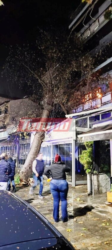 Ηγουμενίτσα: Τεράστιος πλάτανος έπεσε σε επιχείρηση λόγω των ισχυρών ανέμων