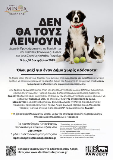 Αδέσποτα, Δήμος Μινώα, Δράση
