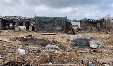 Ζώα Παλιά Σφαγεία