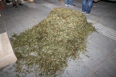 Αγρότες, Κινητοποίηση, Πλατεία Ελευθερίας