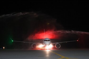 Cyprus Airways, Σταύρος Αρναουράκης