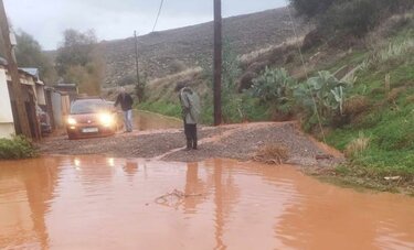 γέφυρα ελιά αρίνα οδηγοί