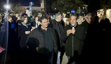 Δοξαστάκης δέντρο