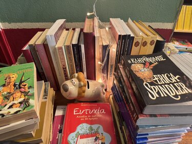 Ομάδα Νόημα, Διάσωση Βιβλίων