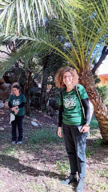 Φοινικόδασος Κρήτη Ρέθυμνο συνάντηση