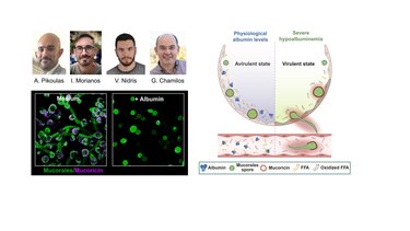 Αλβουμινη έρευνα ΙΤΕ