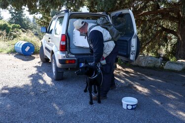 Τσικόπουλος έρευνες σκυλί