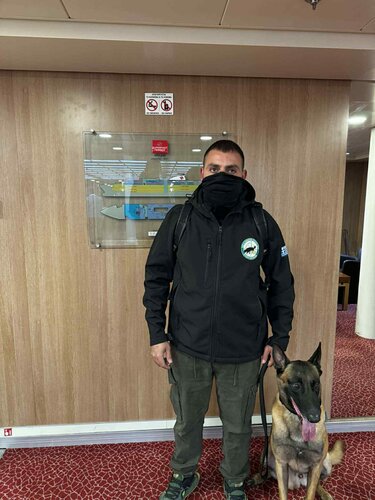 Έρευνες, kyon osfrisis