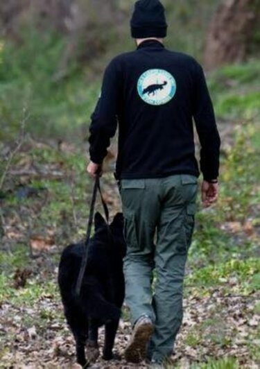 KYON OSFRISIS, Έρευνες