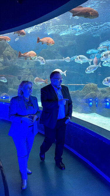 Δωρεάν οικογενειακές δράσεις από την Περιφέρεια Κρήτης και το ΕΛΚΕΘΕ: Μικροί και μεγάλοι γίνονται «πρεσβευτές» της θάλασσας