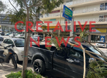 πτώση-δεντρο-Ηρακλειο