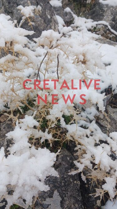 Χιόνια Ασίτες