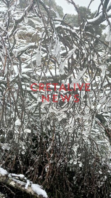 Χιόνια Ασίτες φωτογραφία