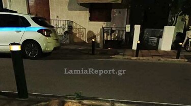 Μεγάλη επιχείρηση για την διάσωση τραυματισμένης αλεπούς