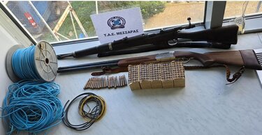 ΕΛΑΣ Βορίζια όπλα