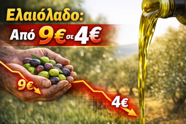 Ελαιόλαδο, τιμές παραγωγού