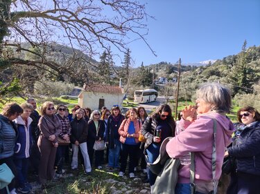 Μηχανικοί δυτικής Κρήτης