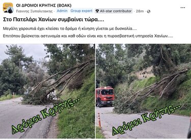 δεντρο