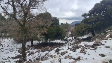 Χιονισμένο Τοπίο