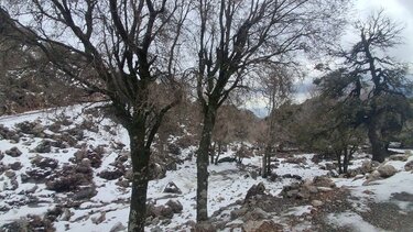 Χιονισμένο τοπίο