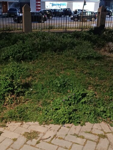 Πάρκο κατσαμπα