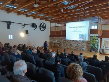 ημερίδα -ελαιόλαδο