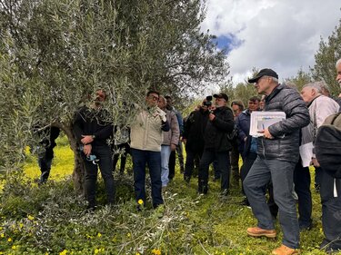 ημερίδα -ελαιόλαδο