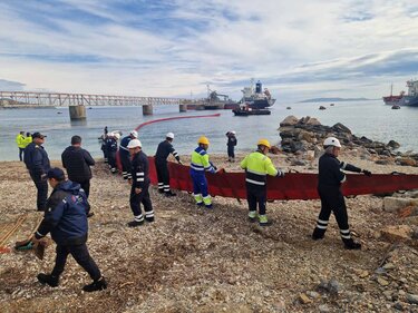 Λινοπεράματα, Άσκηση 