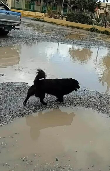 Καμίνια, Δρόμος, Λακκούβες