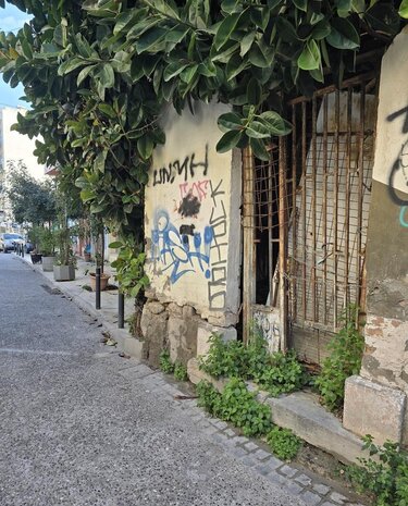 Λάκκος φωτογραφία