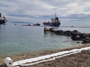 Λινοπεράματα, Άσκηση 