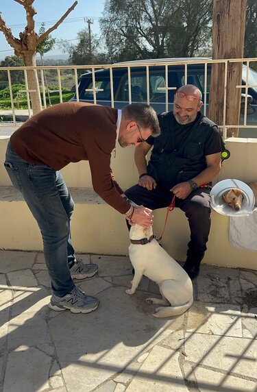 Δήμος Μαλεβιζίου, Στειρώσεις, Ζώα Συντροφιάς