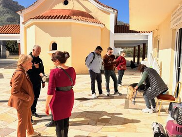 Δήμος Μαλεβιζίου, Στειρώσεις, Ζώα Συντροφιάς