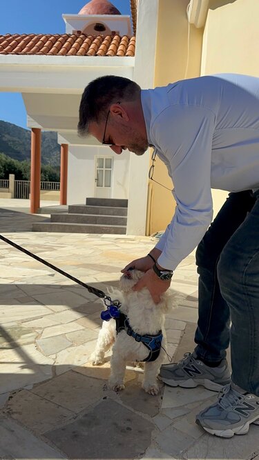 Δήμος Μαλεβιζίου, Στειρώσεις, Ζώα Συντροφιάς