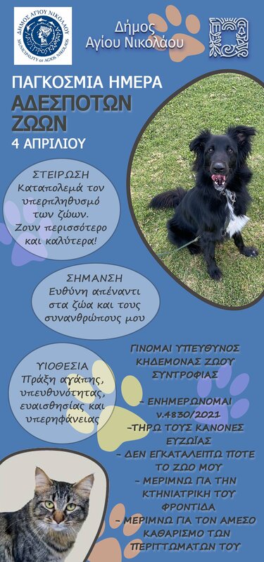 Δήμος Αγίου Νικολάου, Αδέσποτα Ζώα