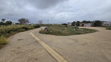 skoupidia_enetika_teixi