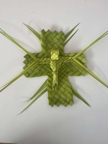 Βάγια Νιπιδιτός