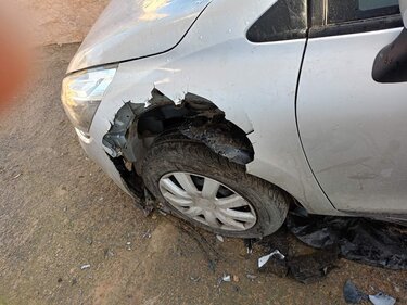 Αυτοκίνητο, Επίθεση σκύλων 