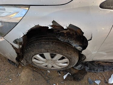 Αυτοκίνητο, Επίθεση σκύλων 