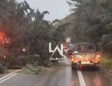 Έπεσαν δέντρα από την κακοκαιρία στον δρόμο Θερμοπυλών–Ιτέας στον Μπράλο