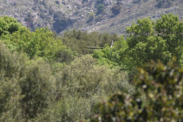 Ελικόπτερο ΠΑ