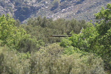 Ελικόπτερο ΠΑ