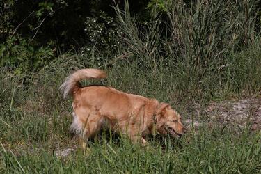 εξαφάνιση-ελευθερία γιακουμάκη